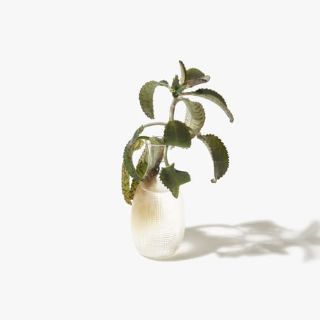 Hydroponic Plants 3C