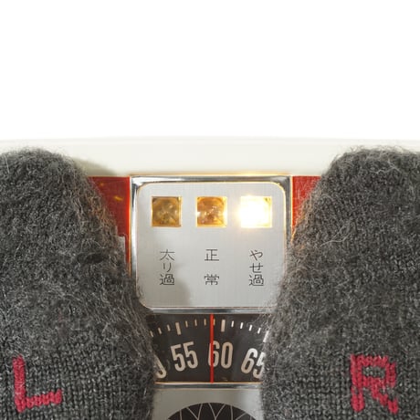 1970's Body Scale 1
