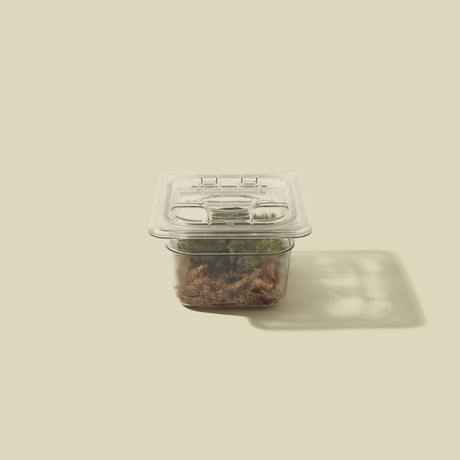 Sealed Plants 2A