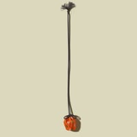 Nioibukuro 5