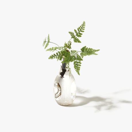 Hydroponic Plants 4D