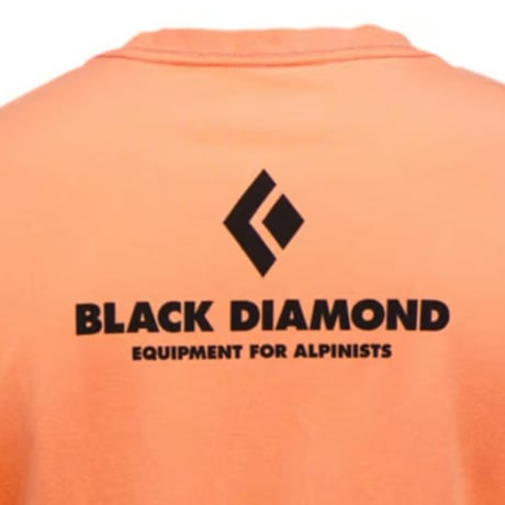 BLACK DIAMOND EQUIPMENT FOR ALPINIST TEE Moab Brown