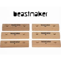 beastmaker Micro