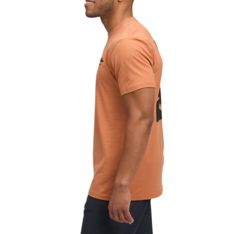 BLACK DIAMOND  MOUNTAINSCAPE TEE Moab Brown
