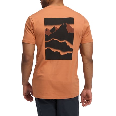 BLACK DIAMOND  MOUNTAINSCAPE TEE Moab Brown