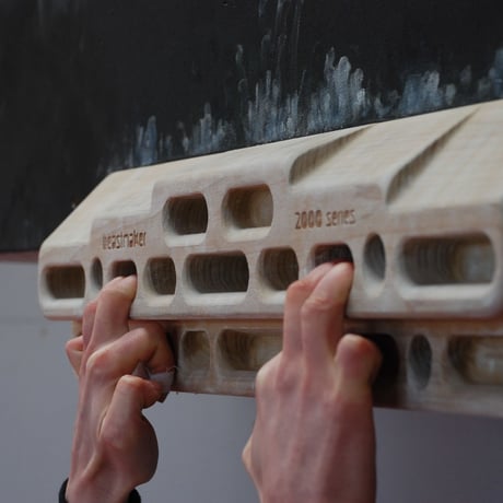 beastmaker 2000 Series