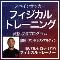 【超希少品】オリジナルガイド　サッカーのピリオダイゼーション サッカーのために特別に考案された方法論的原則」を 正しく理解する