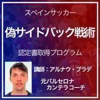 サッカーのピリオダイゼーション NO.086 サッカーのピリオダイゼーション Part1 | ギガディック