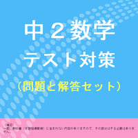 中2数学の問題集プリント（総合版） | 超わかる中学英語・数学