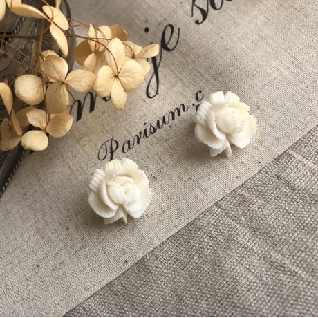 la fleur blanche