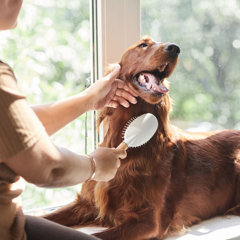 ペットヴェール 【 PetVeil 】 4WAYスプレー“ダニ除け＆消臭＆被毛