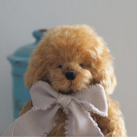 ciel étoilé  オリジナル Standard size toypoodle brown