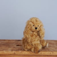ciel étoilé  オリジナル Cockerspaniel コッカスパニエル　brown
