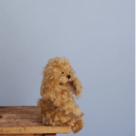 ciel étoilé  オリジナル Cockerspaniel コッカスパニエル　brown