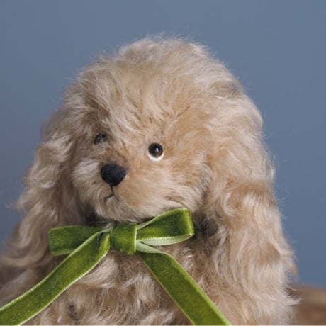 ciel étoilé  オリジナル Standard size cocker spaniel beige