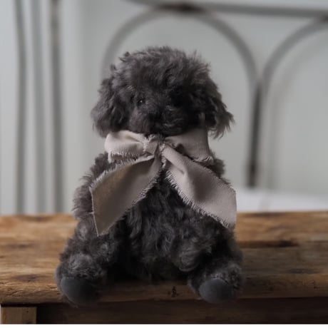 ciel étoilé  オリジナル Standard size toypoodle  black