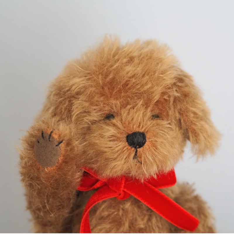 トイプードルお人形　Lecielちゃん ciel étoilé オリジナル Standard size toypoodle brow