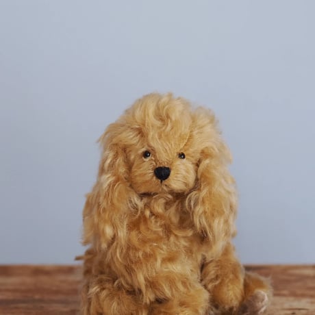 ciel étoilé  オリジナル Cockerspaniel コッカスパニエル　brown