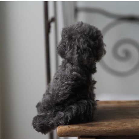 ciel étoilé  オリジナル Standard size toypoodle  black