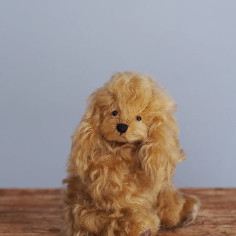 ciel étoilé  オリジナル Cockerspaniel コッカスパニエル　brown