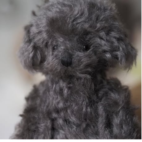 ciel étoilé  オリジナル Standard size toypoodle  black