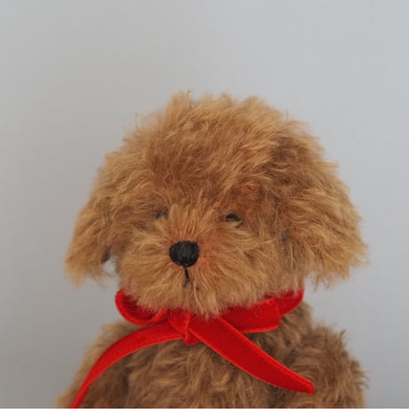 ciel étoilé  オリジナル Standard size toypoodle brown