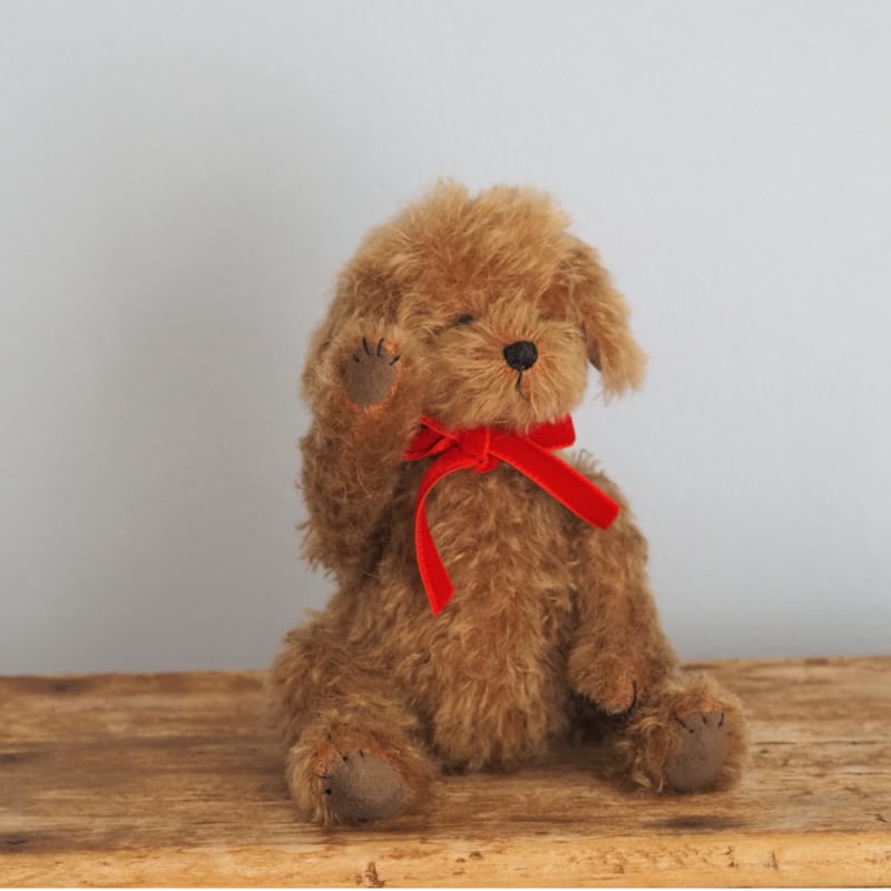 トイプードルお人形　Lecielちゃん ciel étoilé オリジナル Standard size toypoodle brow