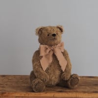 ciel étoilé  オリジナル Teddybear khaki 上向