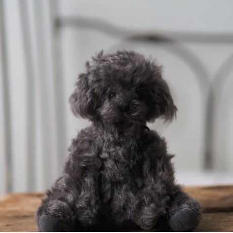 ciel étoilé  オリジナル Standard size toypoodle  black