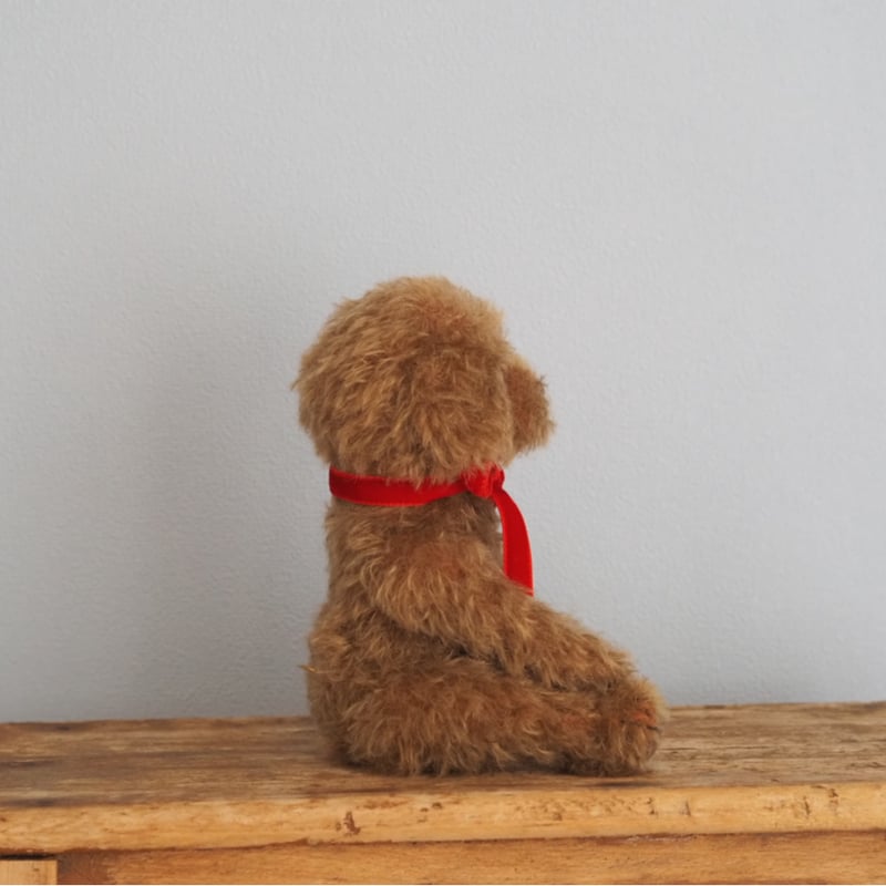 トイプードルお人形　Lecielちゃん ciel étoilé オリジナル Standard size toypoodle brow