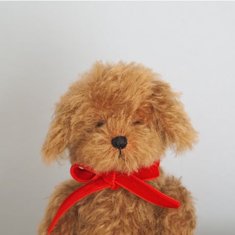 ciel étoilé  オリジナル Standard size toypoodle brown