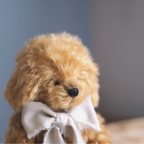 ciel étoilé  オリジナル Standard size toypoodle brown