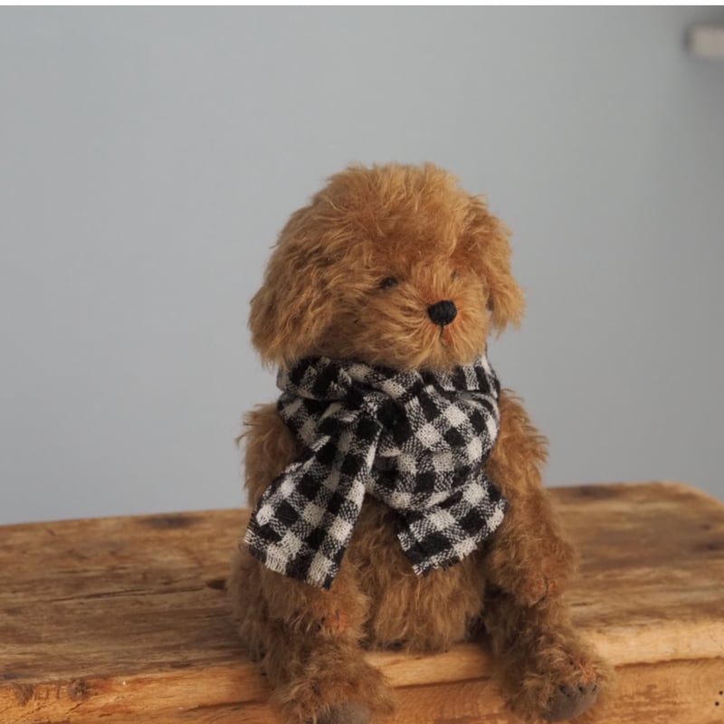 トイプードルお人形　Lecielちゃん ciel étoilé オリジナル Standard size toypoodle brow