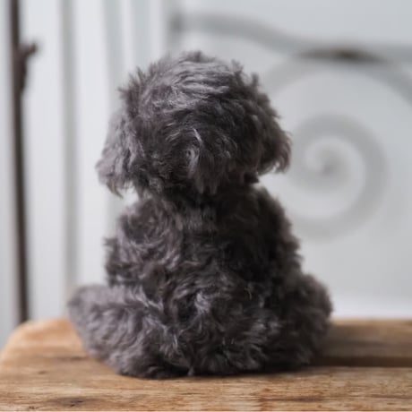 ciel étoilé  オリジナル Standard size toypoodle  black