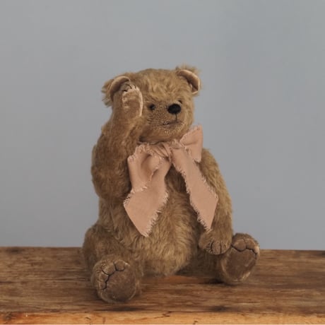 ciel étoilé  オリジナル Teddybear khaki 上向