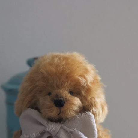 ciel étoilé  オリジナル Standard size toypoodle brown