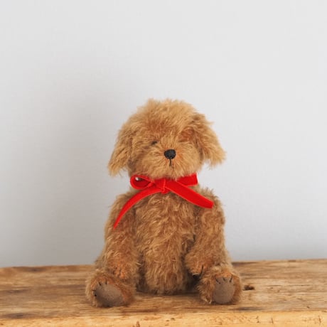 ciel étoilé  オリジナル Standard size toypoodle brown
