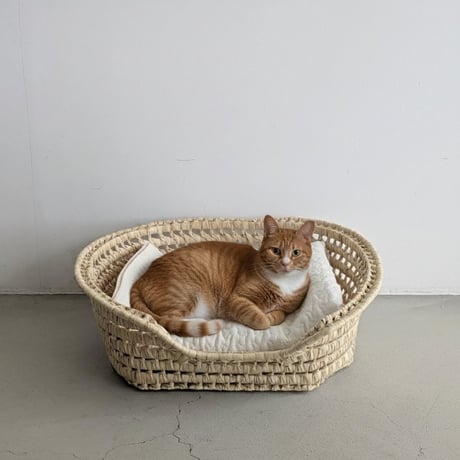 猫かご
