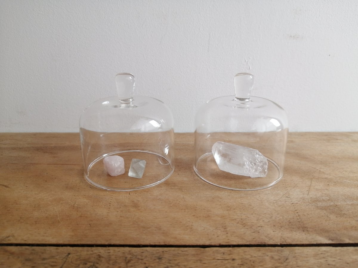 ガラスドーム 大小 木製トレイ付き ドーム付き ウッド トレイ | Zara Home 日本/Japan