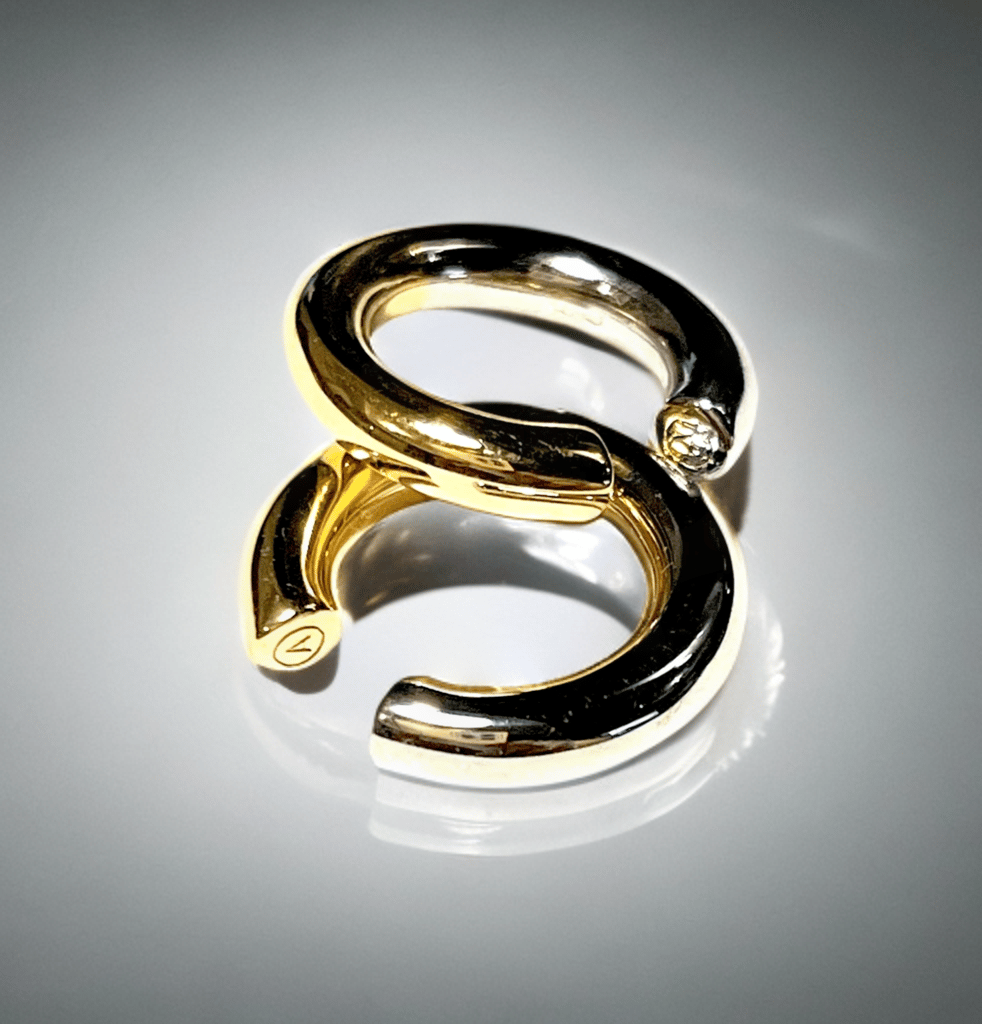 雷太x ASCENDED イヤーカフ 「Sun & moon」 | Ascended™️ 