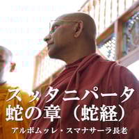 スッタニパータ蛇の章「蛇経」（MP3音声zip圧縮）