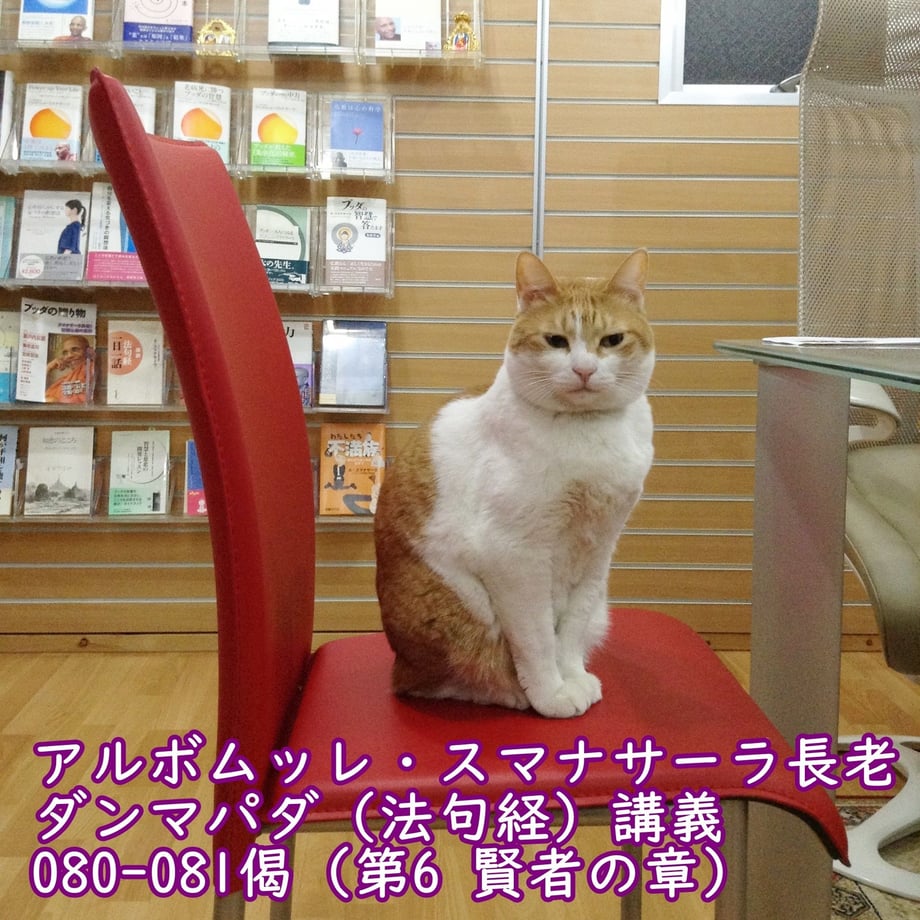 5c0f7e4dc49cf354a2c6790a