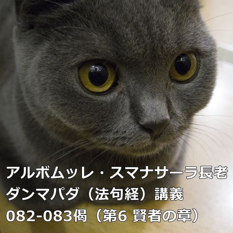 5c0f7f2cc3976c2d4fde3c80