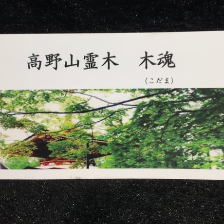 高野山霊木　木魂(高野杉) ブレスレット10mm