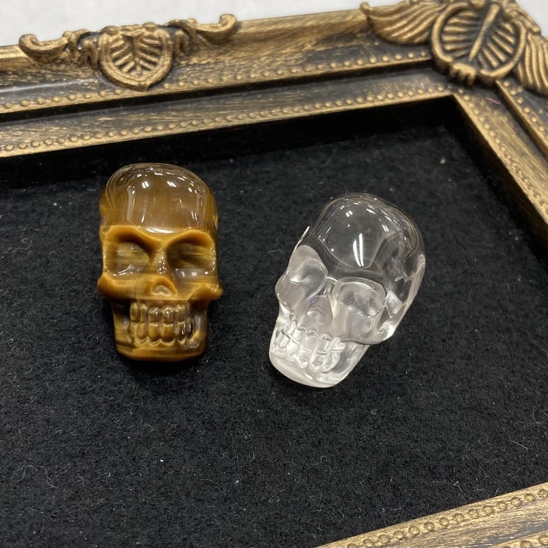 クリスタルスカル ay3lscrkyb_0.jpg