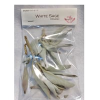 浄化用　ホワイトセージ（無農薬）