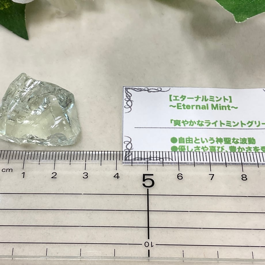 6552122f2688ed0032292eb1