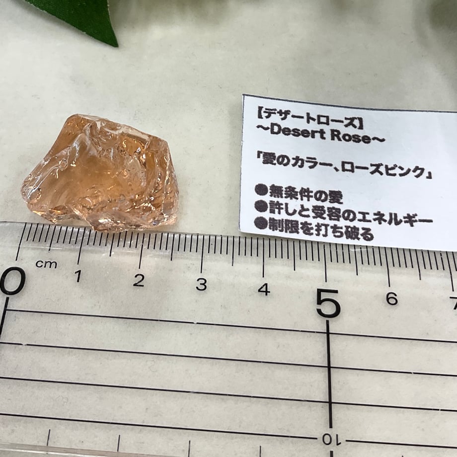 65520ec01c5df0002dc3b048