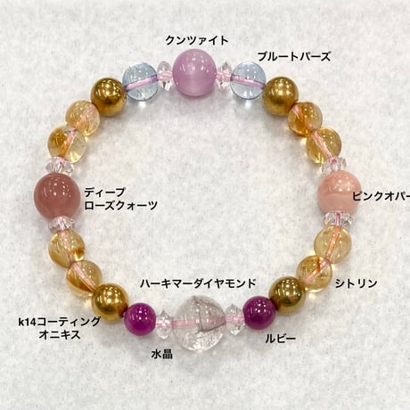 【JOSTAR】シリウスの愛　スタンダードモデル