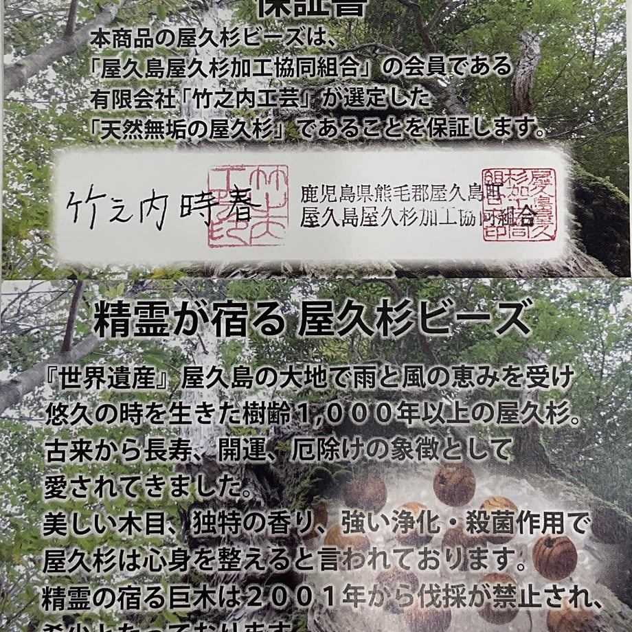 66373794c650081e32f86aeb